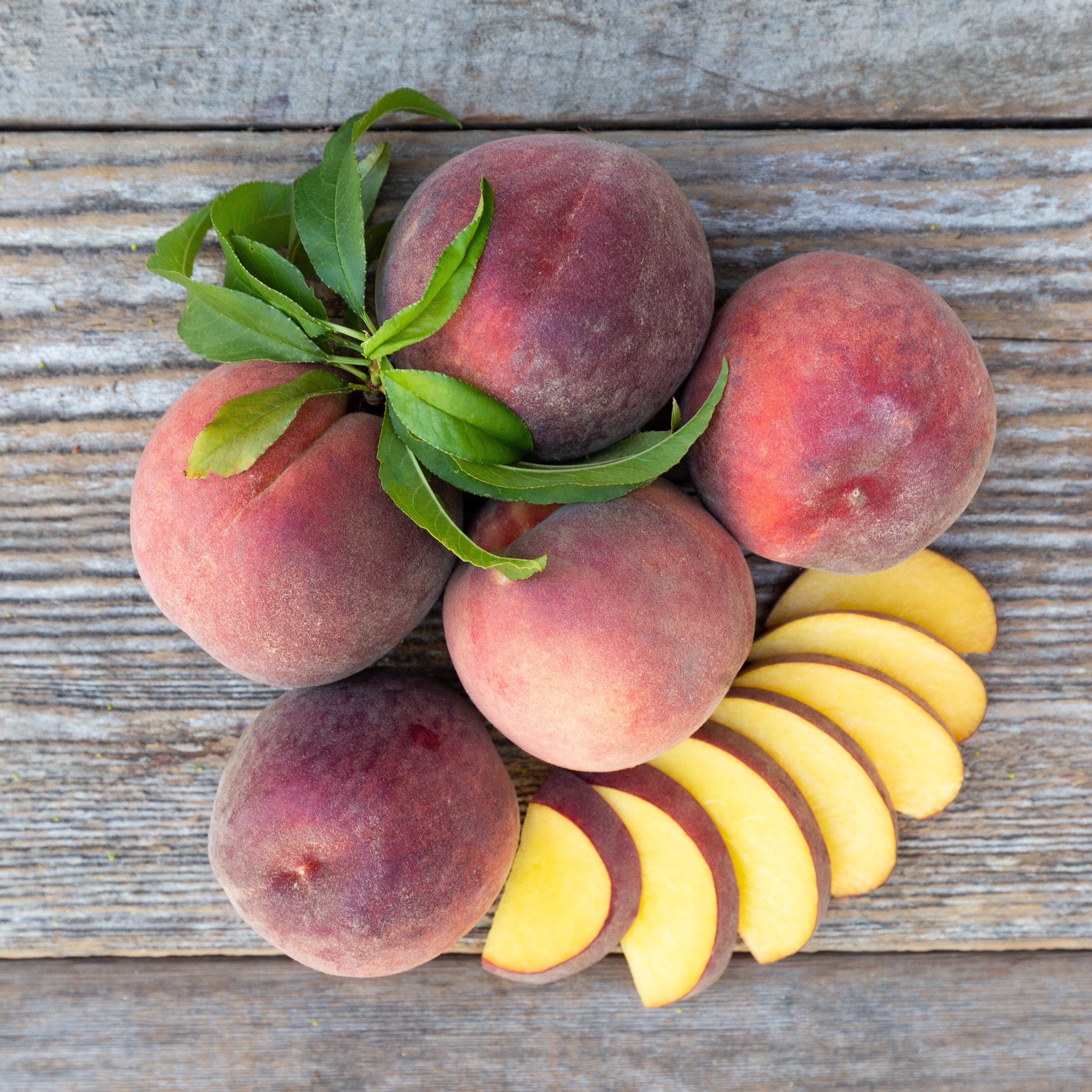 Organic June Honey Peaches - Fresh, Sweet & Juicy Summer Peaches for Eating Fresh, Baking, Canning & Smoothies