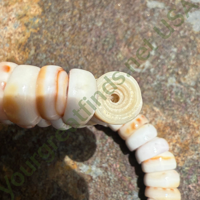 Vintage Cone Shell Necklace for Women - Handmade Boho Beach Jewelry - Perfect for Summer, Vacations & Boho Fashion