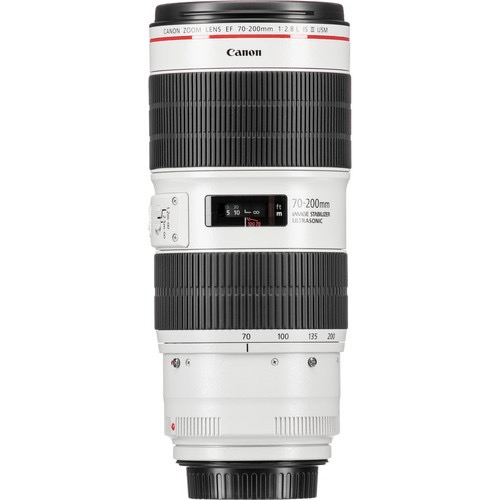 Canon EF 70-200mm f/2.8L IS III USM Telephoto Zoom Lens for Professional Photography, Sports & Wildlife - Fast Aperture, Image Stabilization, Weather Sealed