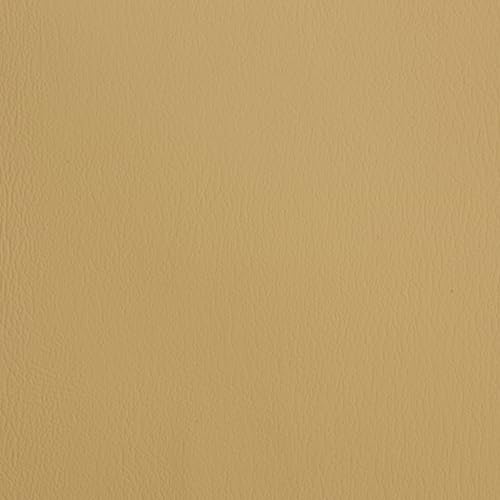 Dreamy Yellow