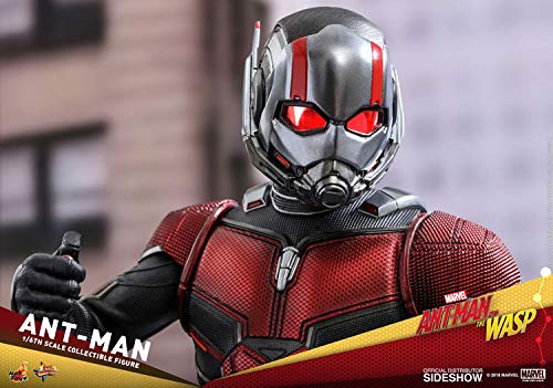 Hot Toys 1:6 Scale Ant-Man Action Figure - Movie Masterpiece Series Collectible for Marvel Fans & Display