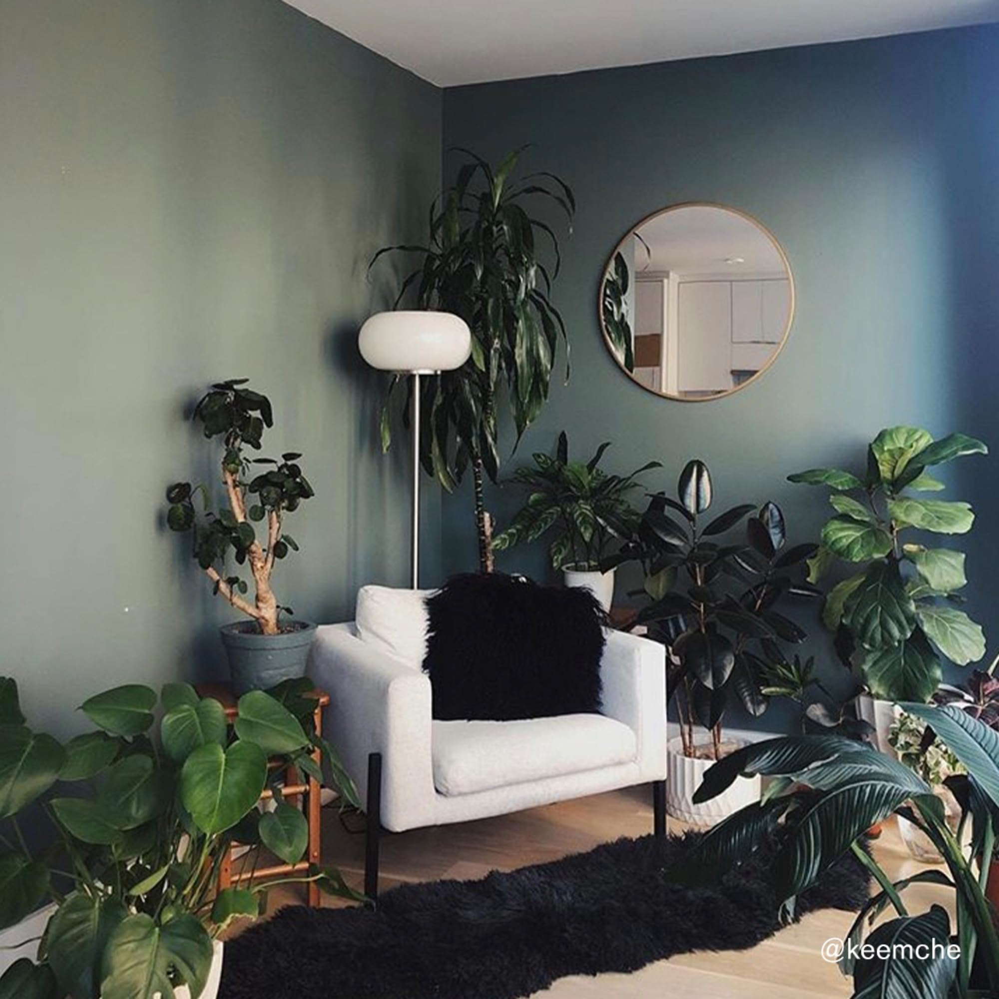 Premium Interior Paint - Semi-Gloss Finish for Trim & Doors | Self-Priming, Low VOC, Green Wise Certified | Dark Green With Blue Undertones (5 Gallons) - Perfect for Home Renovation, DIY Projects & Professional Use