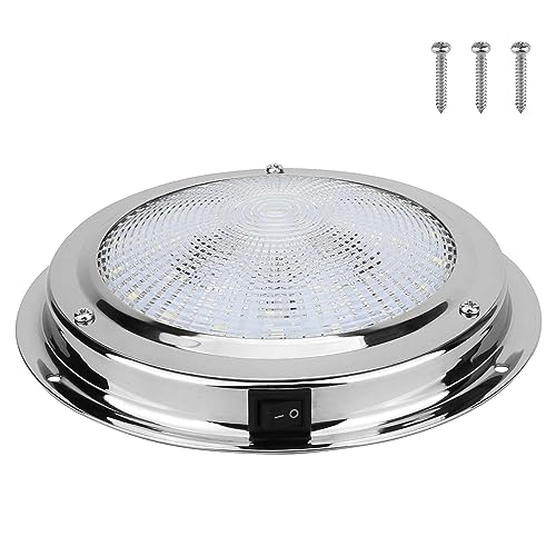 White Light/ 5.5 Inch Stainless Steel Base