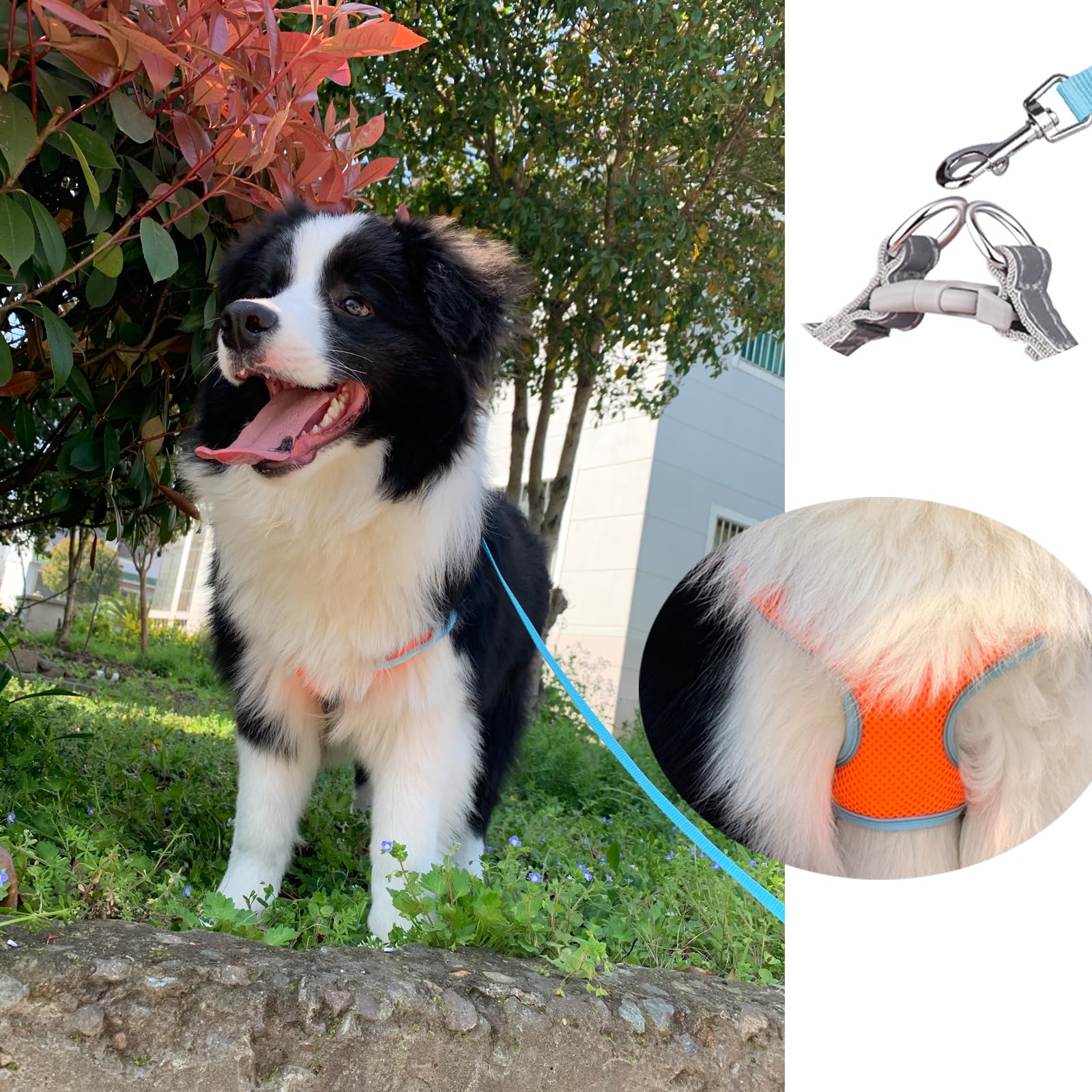 MAKASI No Pull Dog Harness with Leash Set - Reflective Adjustable Pet Vest, Breathable Mesh Front Clip Harness for Small Medium Large Dogs (Small, Orange) - Perfect for Walking, Running & Outdoor Adventures