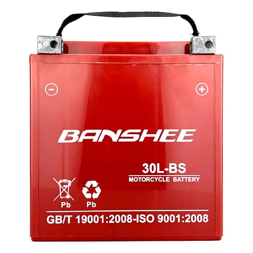 High-Performance Banshee YTX30L-BS Motorcycle Battery for Harley-Davidson FL/FLH Touring 1450cc (1999 & Newer) - Reliable Power for Long Rides & Adventure Touring