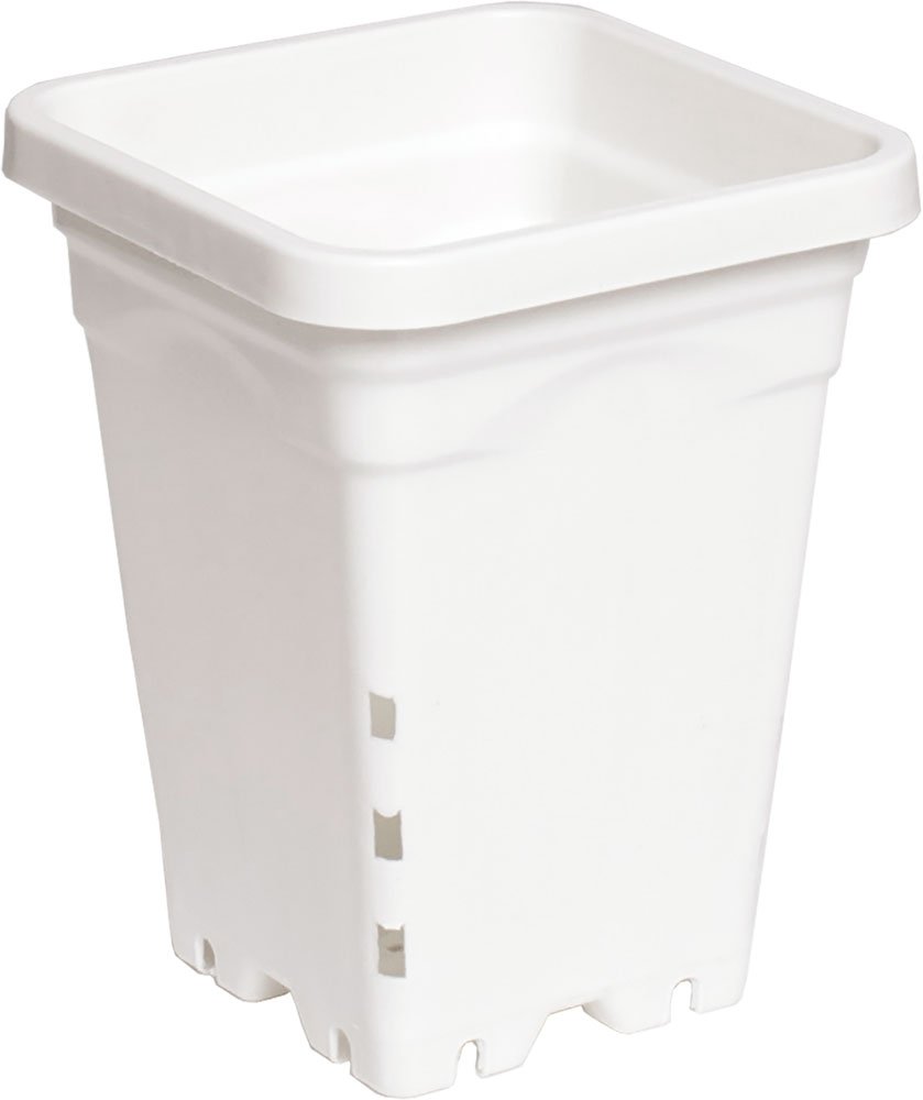 Active Aqua HG5X5SW 5x5 Inch Square White Plastic Nursery Pots - 7 Inch Tall (Pack of 100) - Perfect for Seedlings, Herbs, Succulents & Indoor Gardening