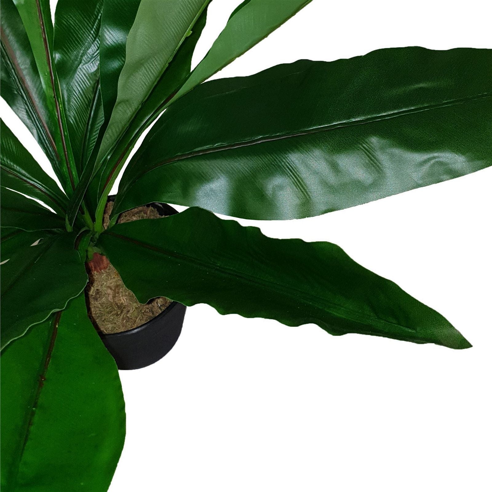 43cm Broad Leaf Artificial Plant by Criterion - Perfect for Home Office Decor, Living Room Greenery & Indoor Plant Styling