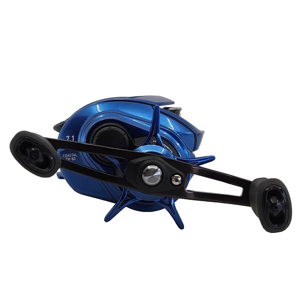 Daiwa Coastal TW 80 Baitcasting Reel - Saltwater Fishing Reel for Inshore & Offshore Angling - Perfect for Bass, Redfish, and Saltwater Game Fish