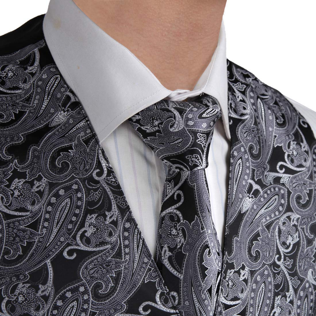 Epoint Men's Fashion Paisley Microfiber Dress Tuxedo Vest & Neck Tie Set - Formal Wedding, Prom, Party & Business Attire