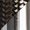 Carbon w/Chrome Banjos and Bolts