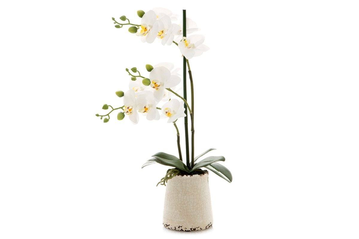 Artificial White Orchid in Ivory Pot - Elegant Home Decor for Living Room, Office & Wedding Centerpieces