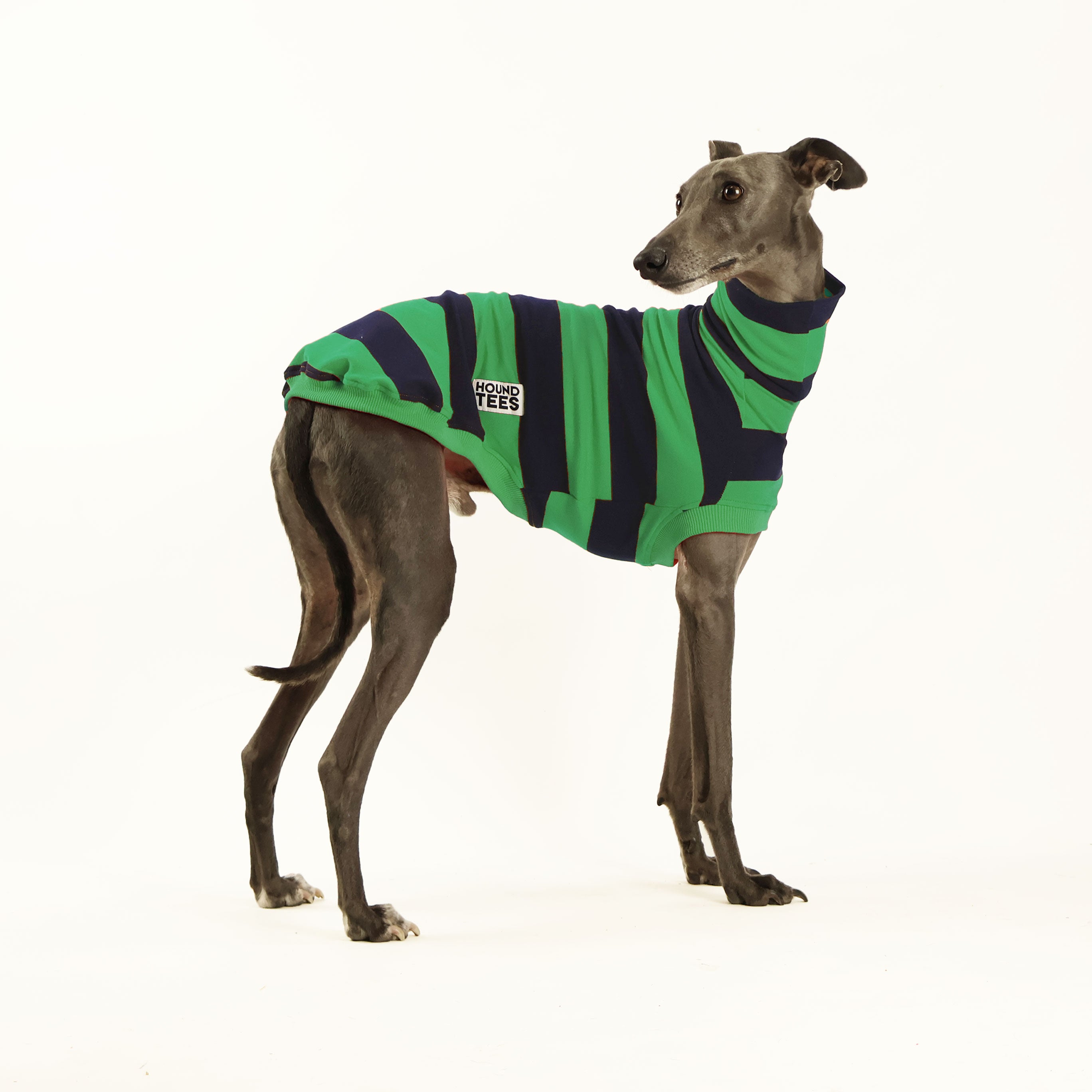 Green Rugby Whippet Sleeveless Sweater for Men - Breathable Athletic Pullover for Rugby Training & Outdoor Sports