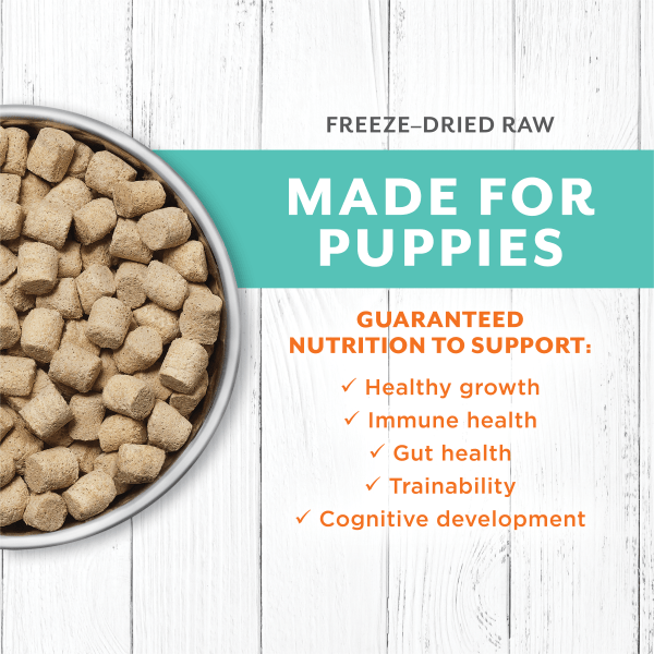 Instinct Raw Longevity Chicken Recipe 100% Freeze Dried Puppy Food - High Protein Grain-Free Dog Food for Small & Large Breeds | Perfect for Training, Travel & Outdoor Adventures