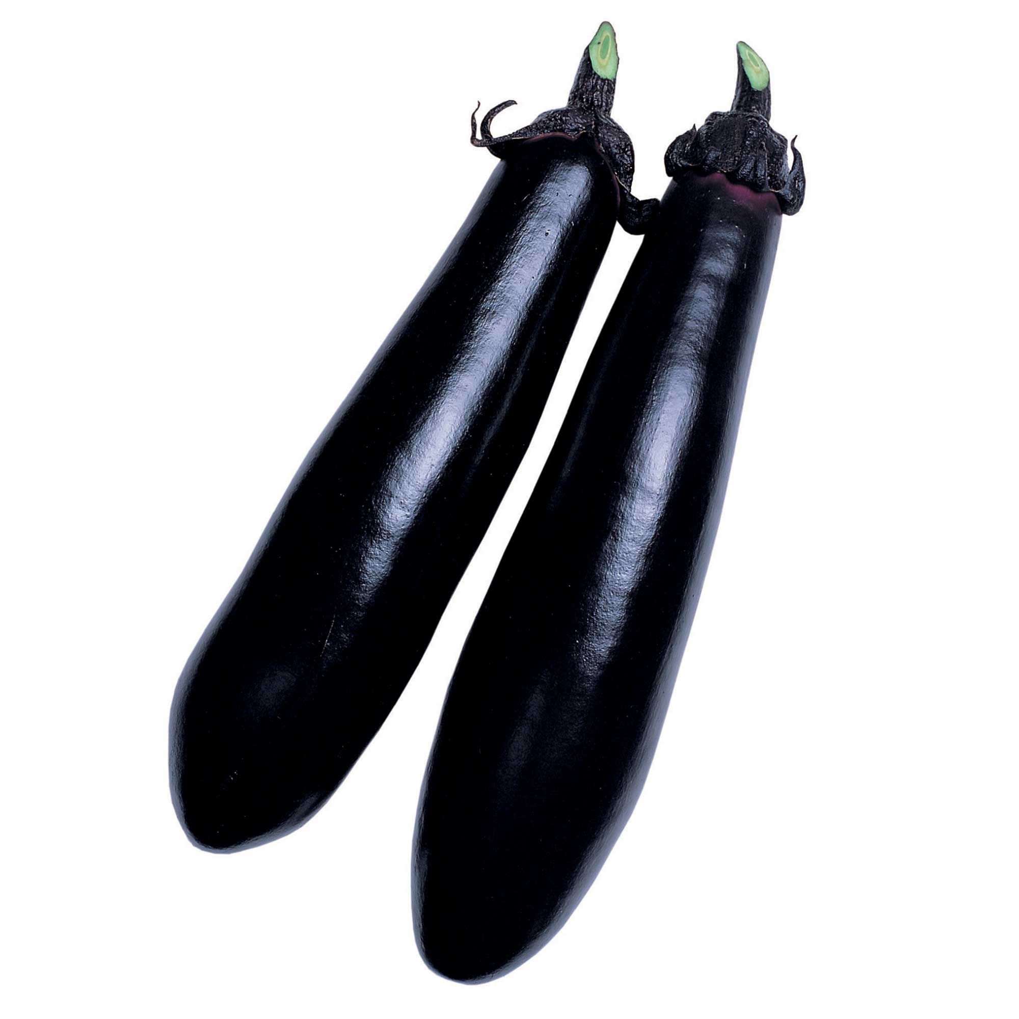 Black Shine Hybrid Eggplant Seeds - Non-GMO, F1 Hybrid - 6250 Seeds (1 Oz) - Asian Garden Vegetable for Home Gardening & Organic Farming
