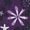 Garden Purple