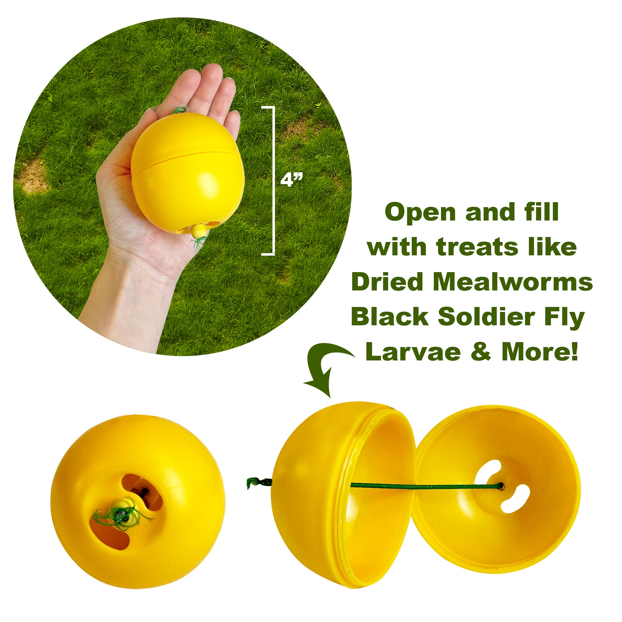 Best Chicken Treat Dispenser for Training & Enrichment - Automatic Pet Reward Feeder for Hens, Ducks & Birds - Perfect for Backyard Coops & Poultry Farms