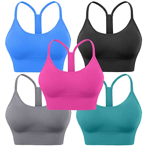 Black Gray Blue Hot Pink Peacock Blue 5pack