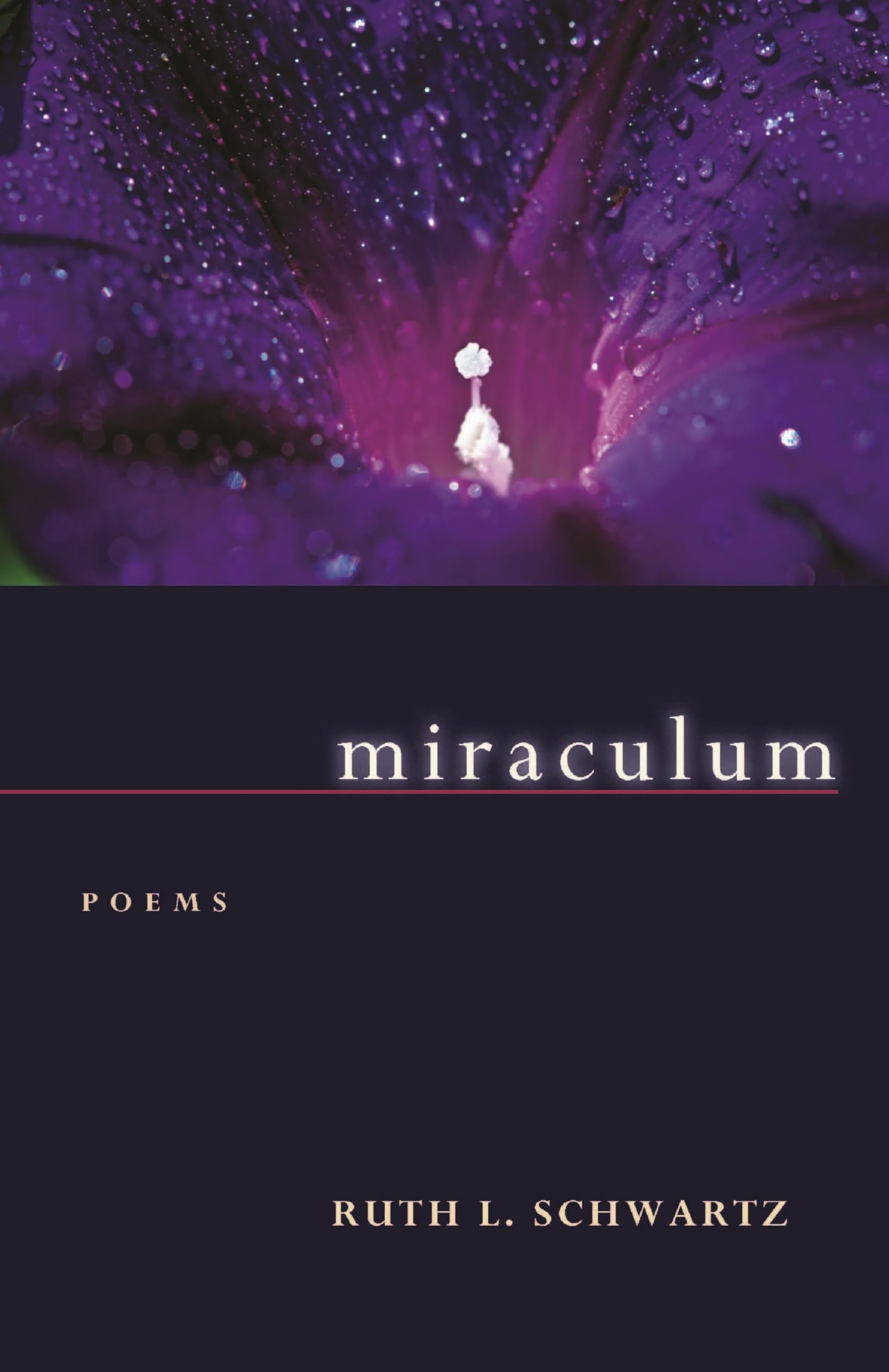Miraculum: Autumn House Poetry Collection - Perfect for Poetry Lovers, Book Clubs & Literary Gifts