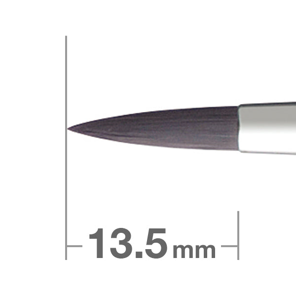 Professional Series 6M PS Eyeliner - Long Lasting Waterproof Liquid Eyeliner Pen [HC1553] for Precise Winged Liner & Smokey Eye Makeup | Perfect for Daily Use, Parties & Special Occasions
