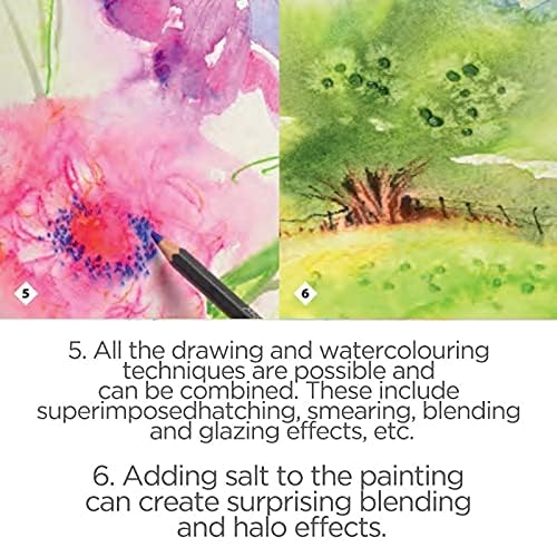 Premium Caran d'Ache Museum Aquarelle Watercolor Pencil - Violet Pink (3510.583) for Professional Artists & Sketching | Ideal for Watercolor Painting, Illustration & Mixed Media Art