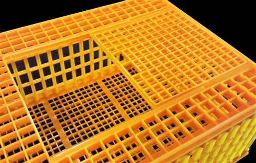 Rite Farm Poultry Chicken Transport Coop Cage - Portable Chicken Carrier for Hens, Ducks & Small Animals - Perfect for Farm, Vet Visits & Farmers Market Transport