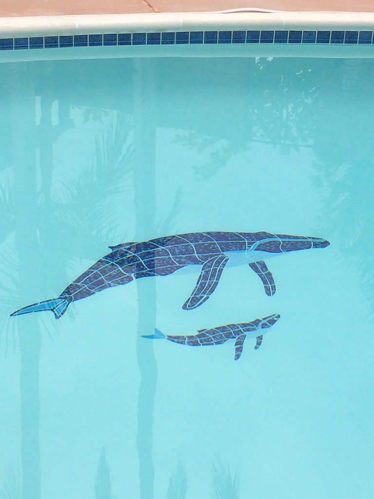 Humpback Whale & Baby Ceramic Swimming Pool Mosaic Tile (60