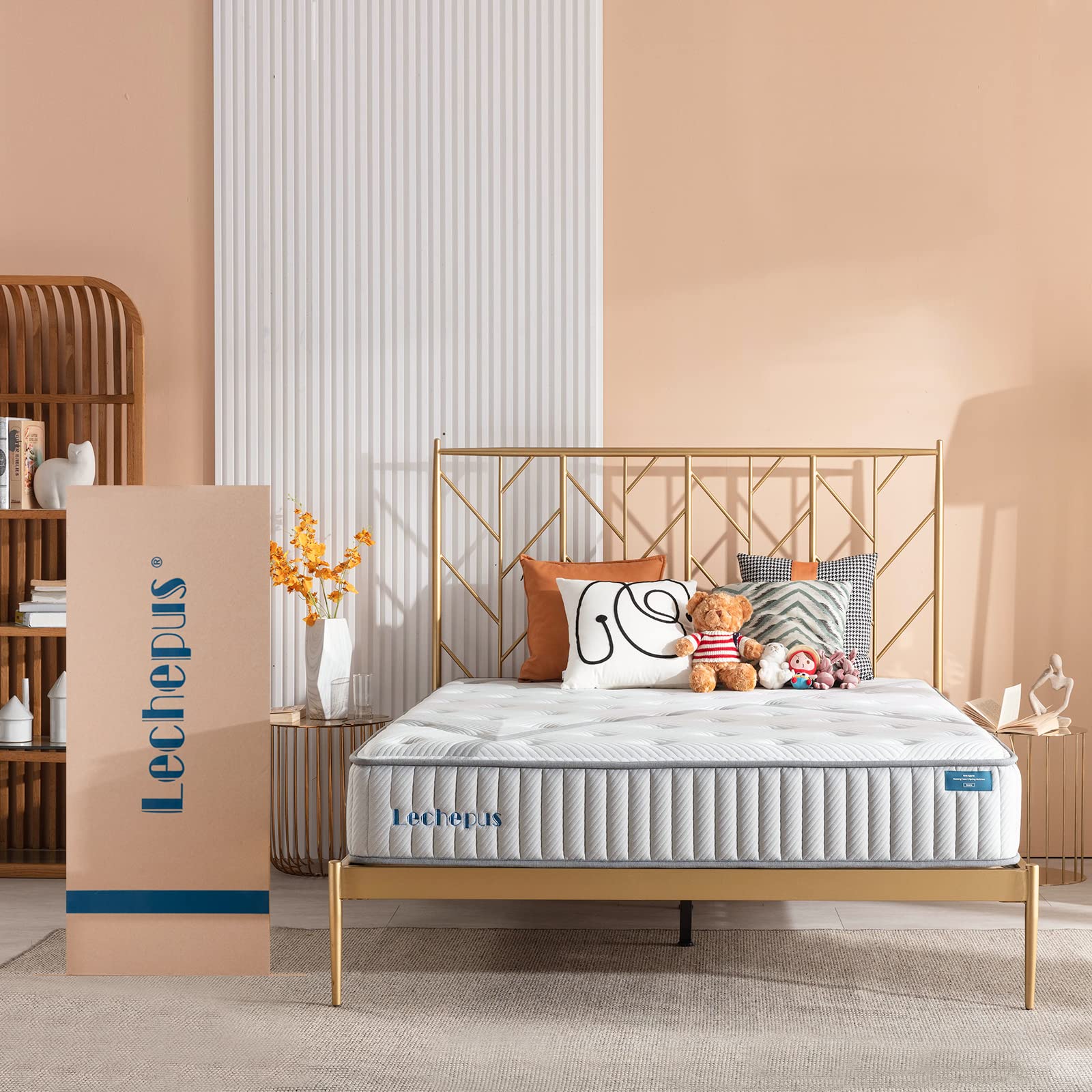 Lechepus 10 Inch Queen Hybrid Mattress in a Box - Memory Foam & Pocket Innersprings for Motion Isolation, Medium Firm Support with Breathable Soft Cover (10-Year Warranty) - Perfect for Bedrooms, Guest Rooms & Apartments