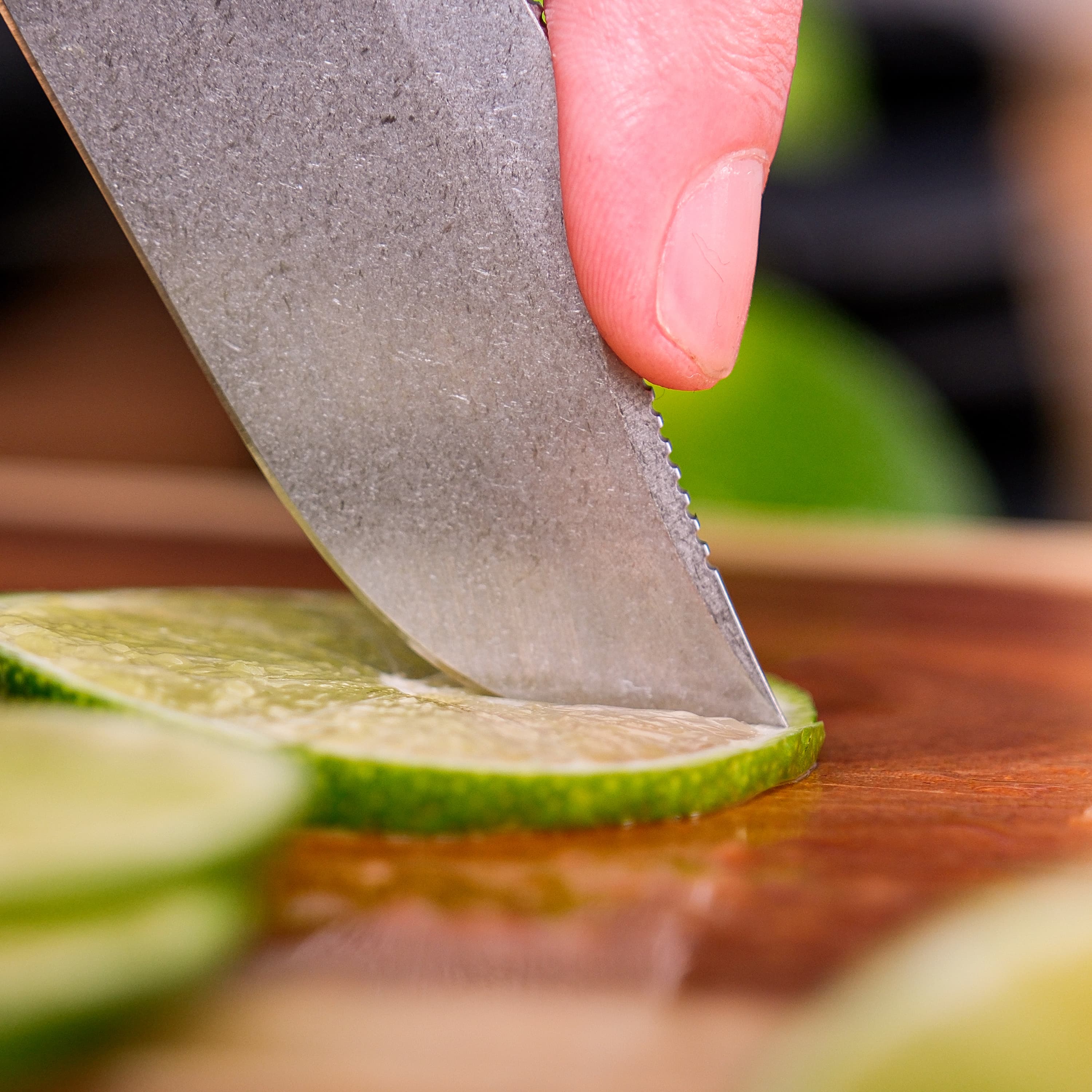 Quokka Fixed Blade Knife - 2.72