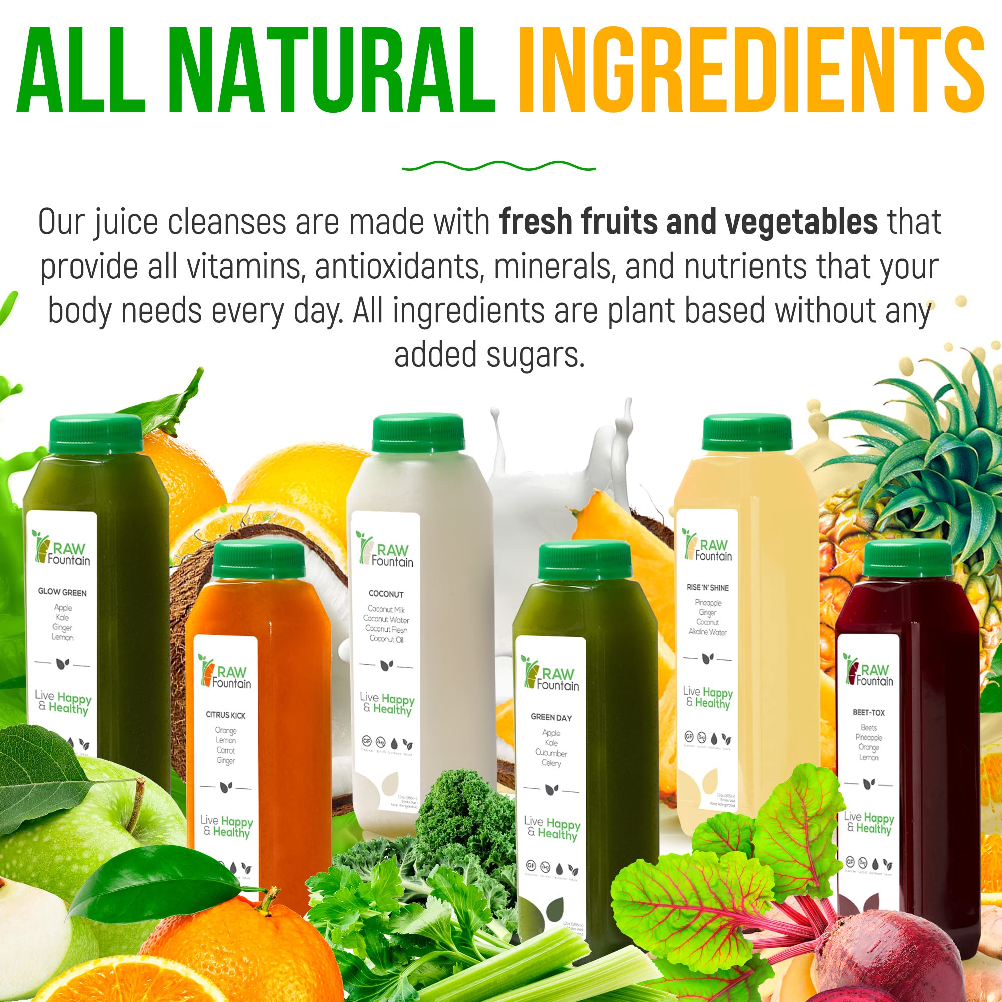Raw Fountain 3-Day Juice Cleanse | All Natural Cold Pressed Detox Juice Fast | 18 Bottles (12oz) + 3 Ginger Shots | Body Reset & Weight Loss | Perfect for Post-Holiday Detox, Fitness Prep & Healthy Lifestyle Jumpstart