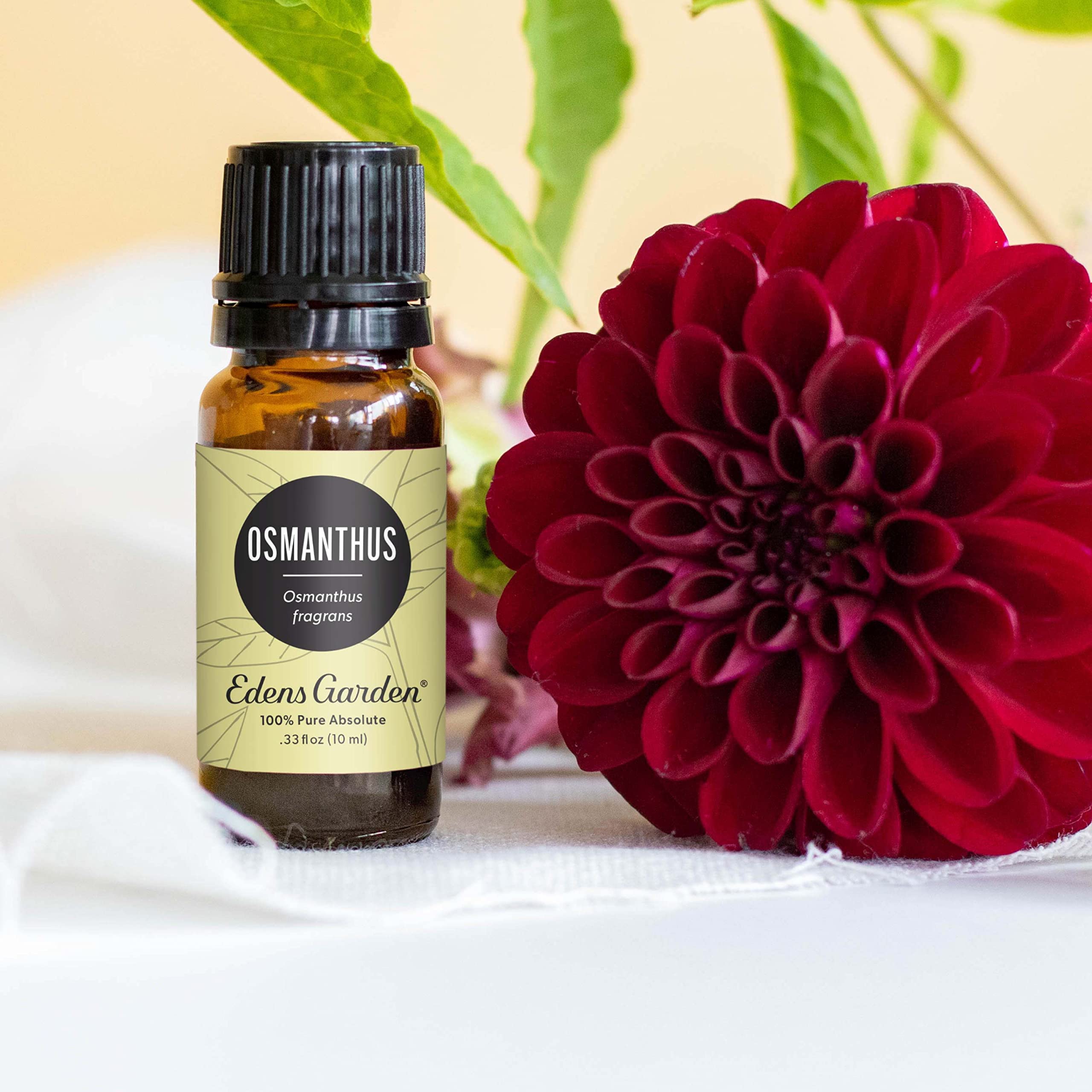 Edens Garden 100% Pure Osmanthus Essential Oil - Premium Grade, Undiluted & Natural for Aromatherapy, Diffusers, Skin Care, Hair Treatment (10ml / 0.33 fl oz) | Perfect for Relaxation, Massage & Home Fragrance
