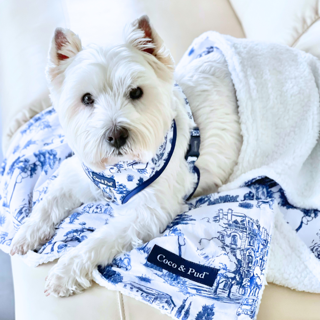 Luxury Navy Blue Dog Blanket - Soft & Cozy Pet Blanket for Small, Medium & Large Dogs - Perfect for Beds, Couches & Travel Use