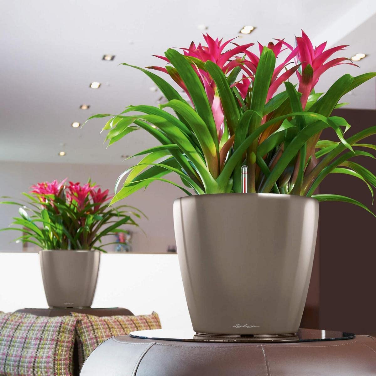 Lechuza Classico Premium LS 43 Taupe High Gloss Self-Watering Planter - Modern Indoor Flower Pot for Home, Office & Garden Decor