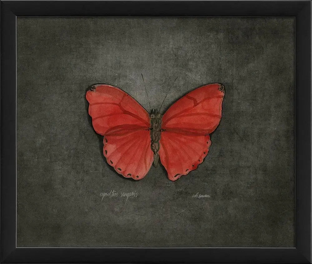 Butterfly Art Print - Elegant Wall Decor for Home, Office & Nursery | Perfect for Living Room, Bedroom & Gift Ideas