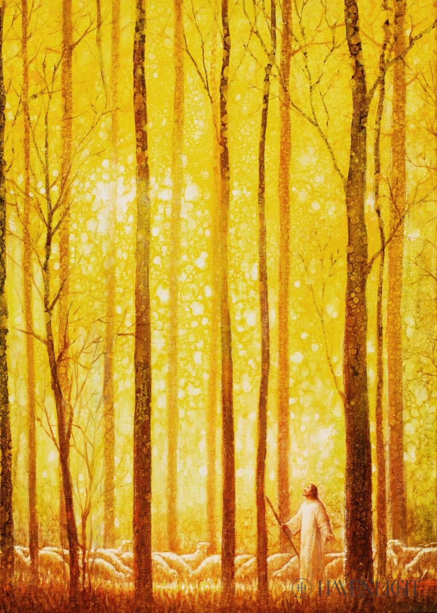 Wonder by Yongsung Kim - Inspirational Christian Art Print for Home & Office Decor - Perfect for Living Rooms, Bedrooms, and Church Spaces