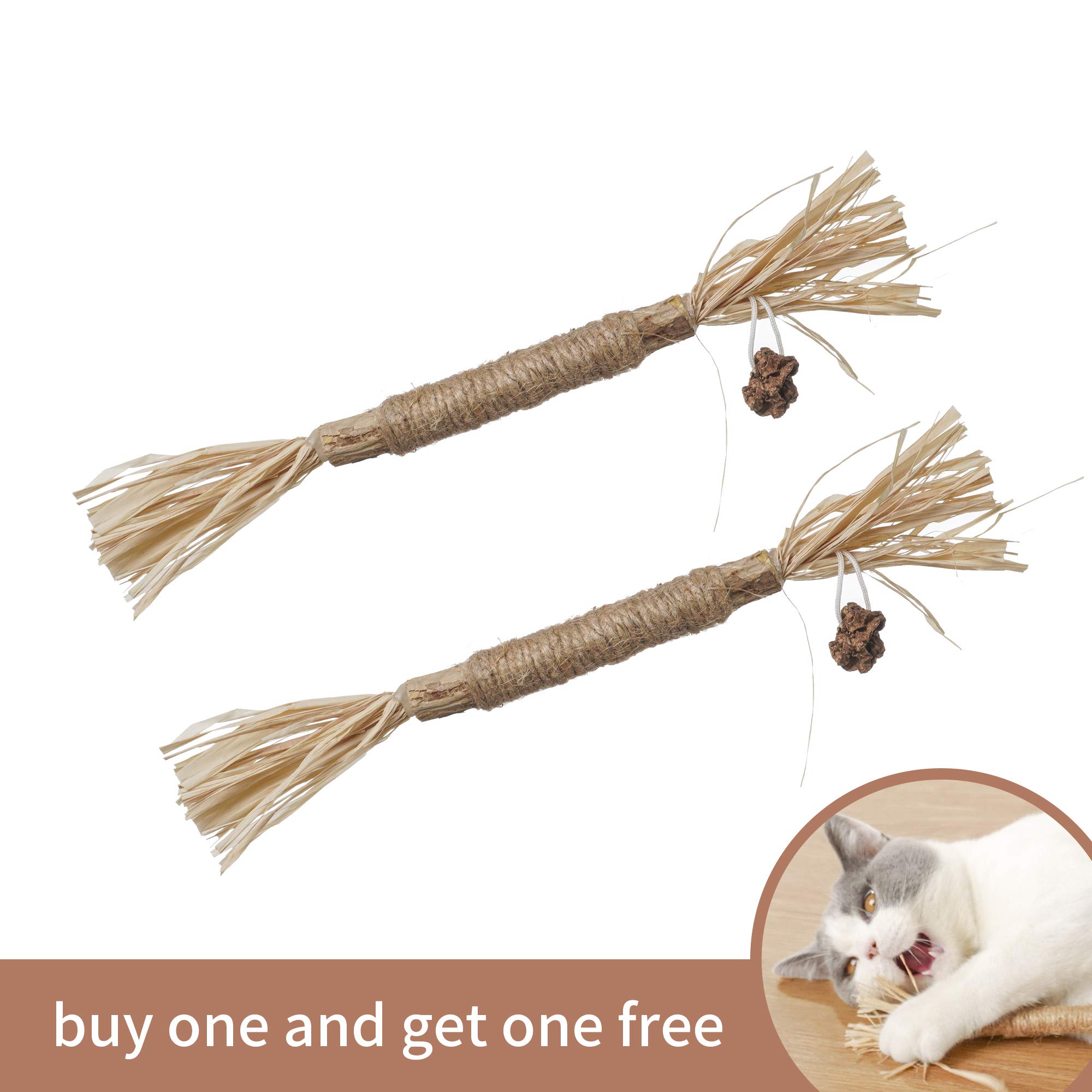 PAZ'S GIFT Natural Catnip Toys for Kittens - 3 Pack Silvervine Sticks with Raffia for Teeth Cleaning, Interactive Play & Dental Care - Perfect Indoor Cat Chew Toys for Teething, Kicking & Stress Relief