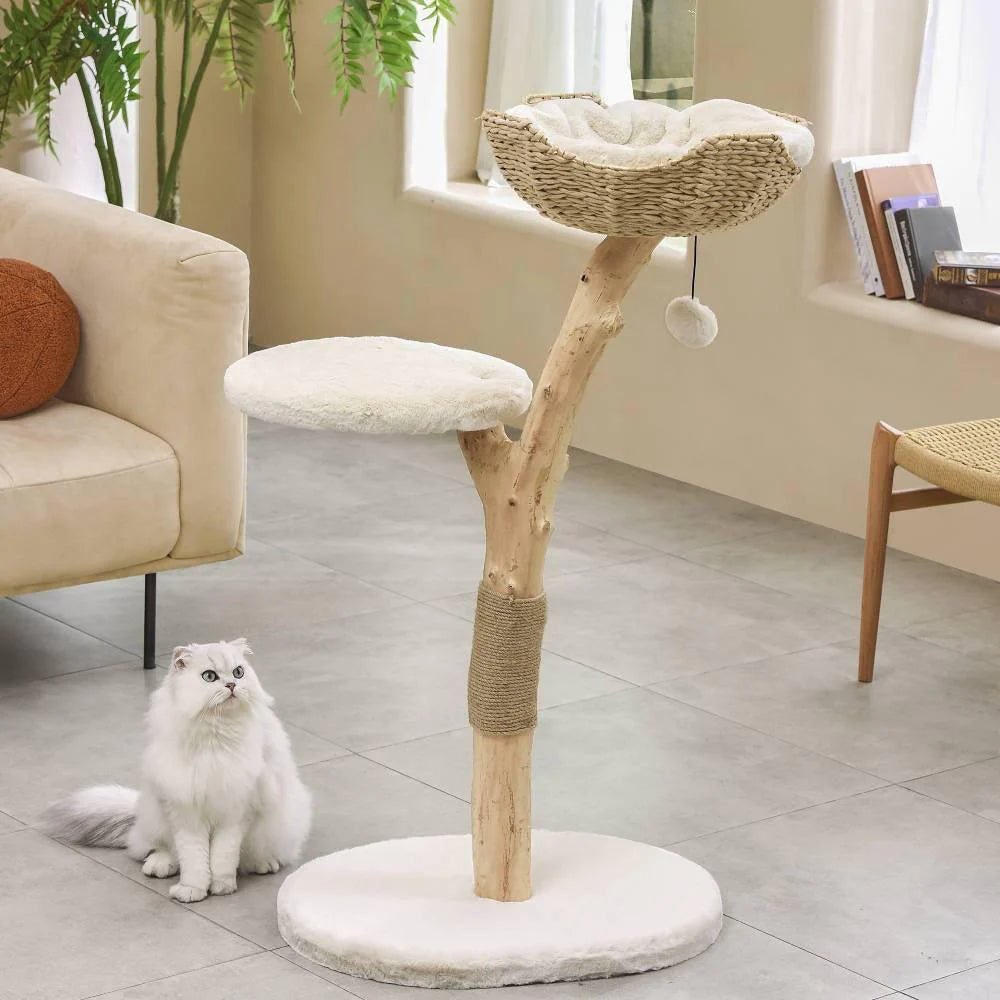 Premium Real Wood Cat Tree for Indoor Cats - Medium Size, Sturdy & Durable with Scratching Posts - Perfect for Play, Climbing & Relaxing in Home or Office