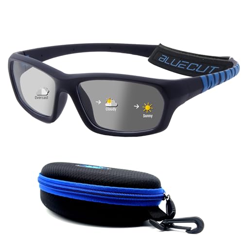 Black/Photochromic