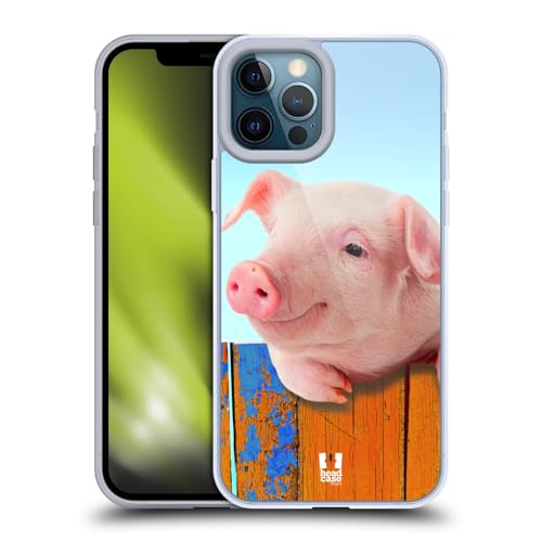 Piggy Hanging On A Fence