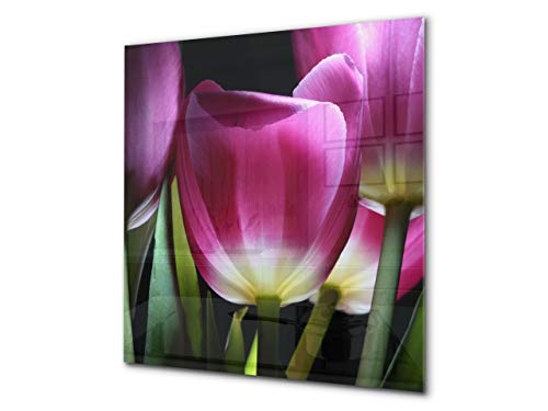 Purple Tulip