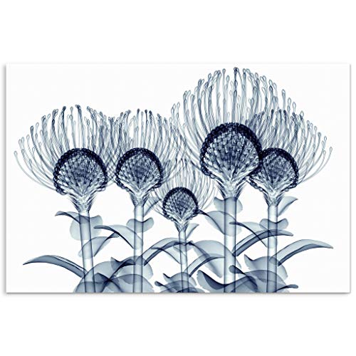 Nodding Pincushions