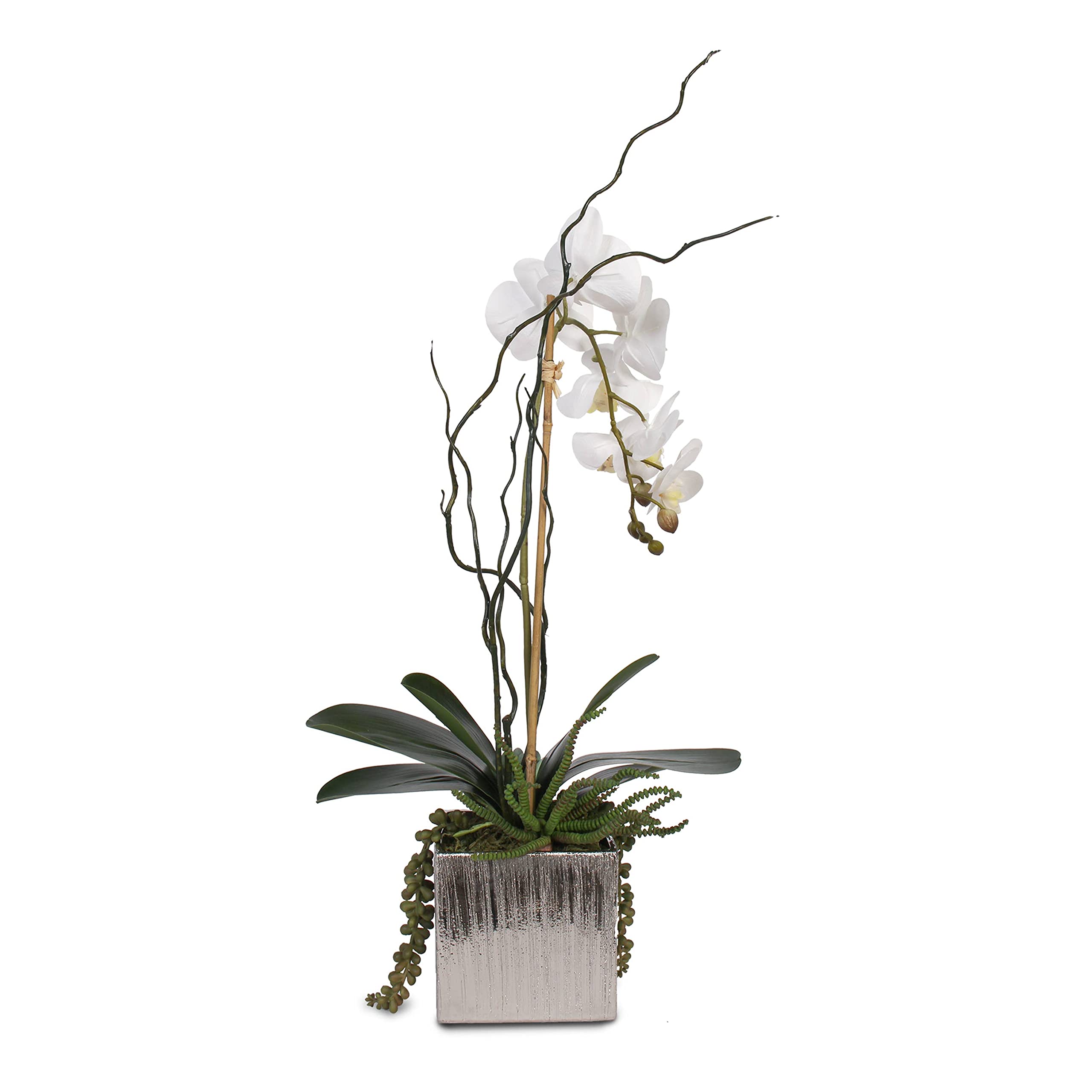 Real Touch White Phalaenopsis Orchid with Succulents in Silver Ceramic Pot - Elegant Home & Office Decor for Weddings, Centerpieces, and Gift Giving