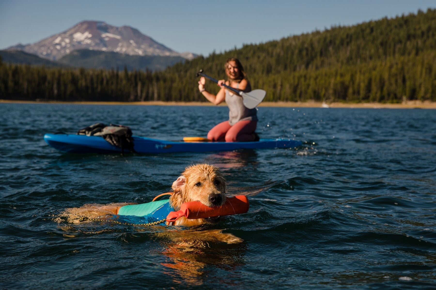 Lunker® Foam Water Toy for Dogs - Purple Orchid | Ruffwear® - Perfect for Pool, Beach & Outdoor Play