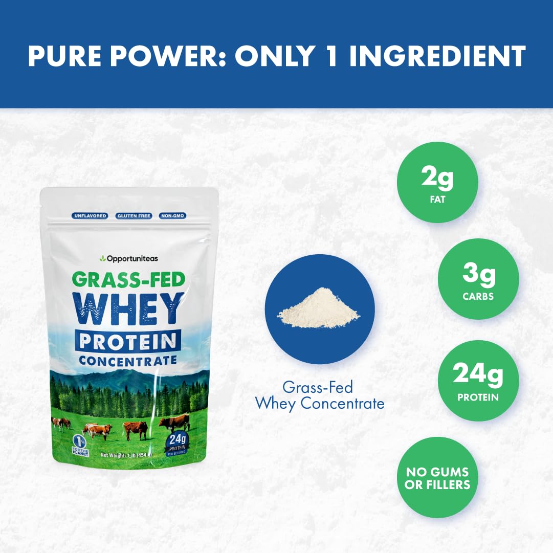 Grass Fed Whey Protein Powder Concentrate - Pure 1-Ingredient Protein Supplement for Smoothies, Shakes & Baking | Non-GMO, Hormone & Gluten Free | 1lb for Post-Workout Recovery & Healthy Cooking