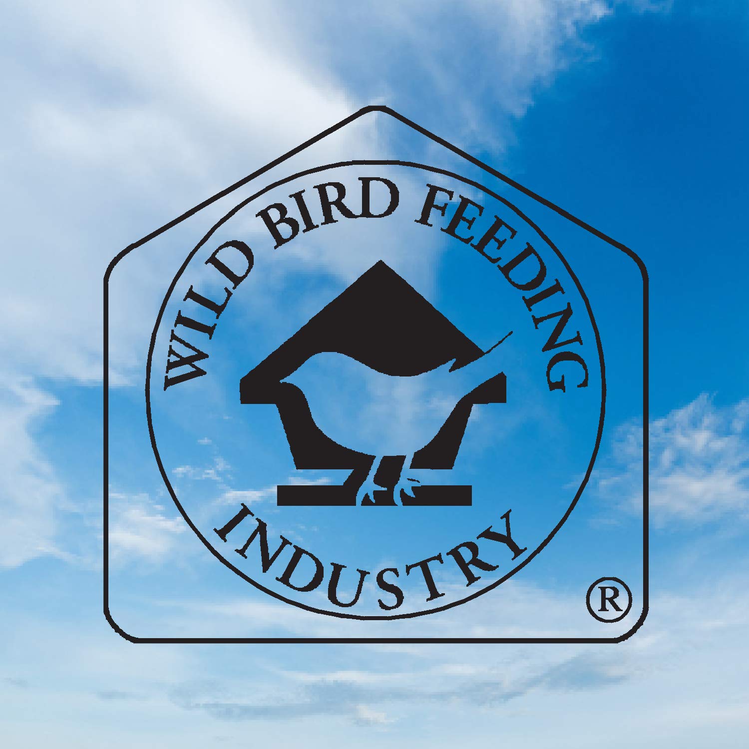 Premium Blue Seal Song Maker Supreme Wild Bird Seed - High Energy Mix, No Fillers, 8 Pound Bag - Attracts Colorful Birds to Your Backyard Garden or Bird Feeder