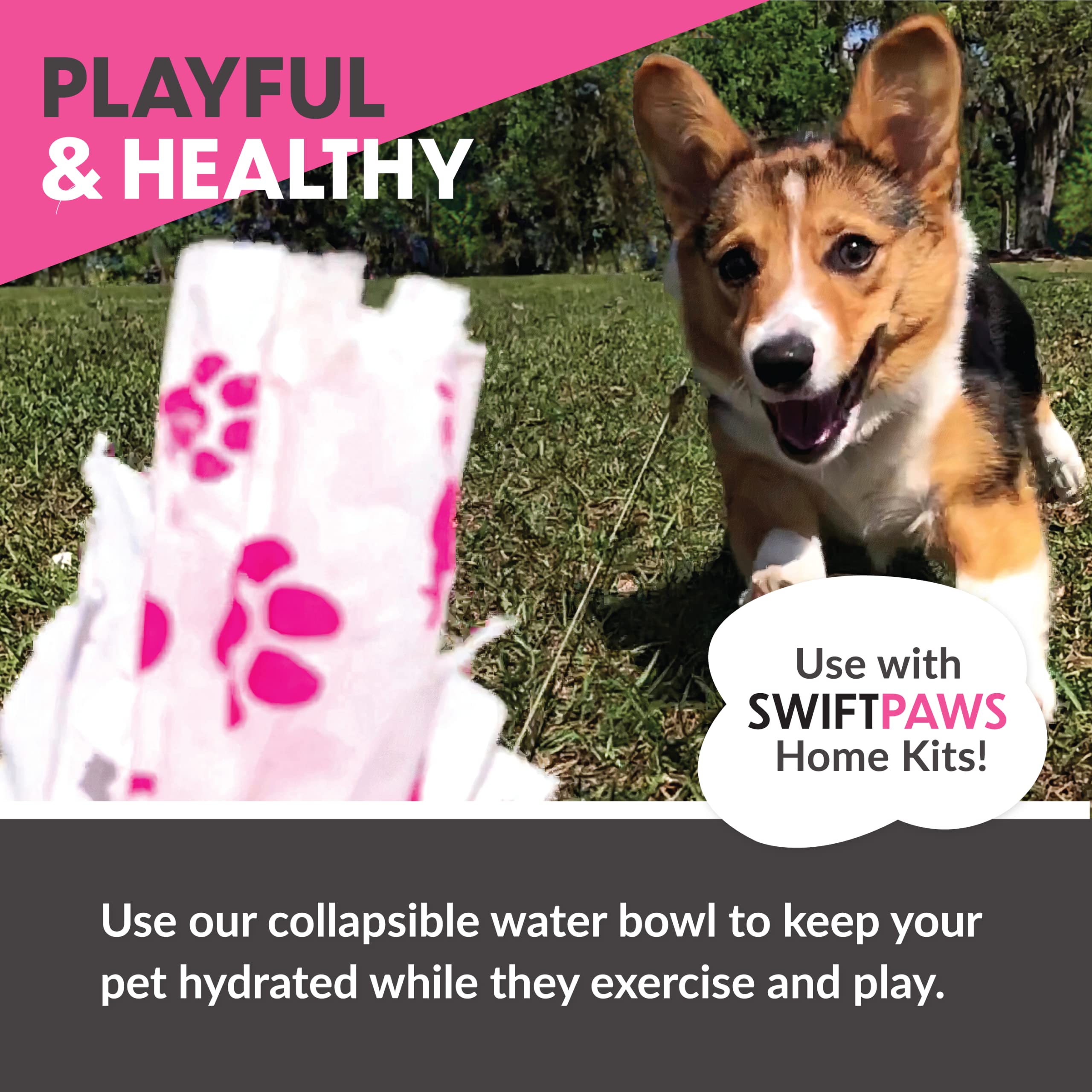 SwiftPaws Collapsible Dog Bowl - 32oz Portable Water & Food Dish for Small & Large Breeds - Lightweight Foldable Travel Bowl with Keychain Hook - Durable Silicone Pet Bowl (Black) - Perfect for Hiking, Camping & Outdoor Adventures