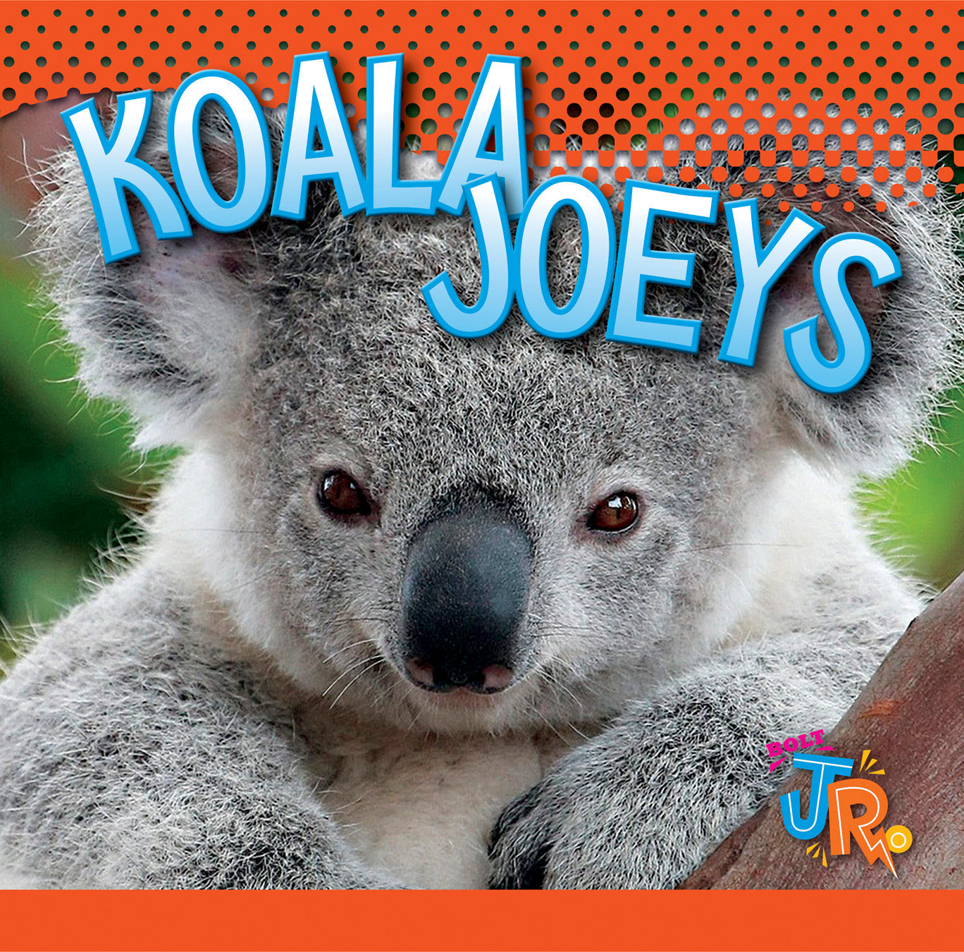 Koala Joeys Book 9781623101404 - Fun & Educational Wildlife Reading for Kids & Animal Lovers