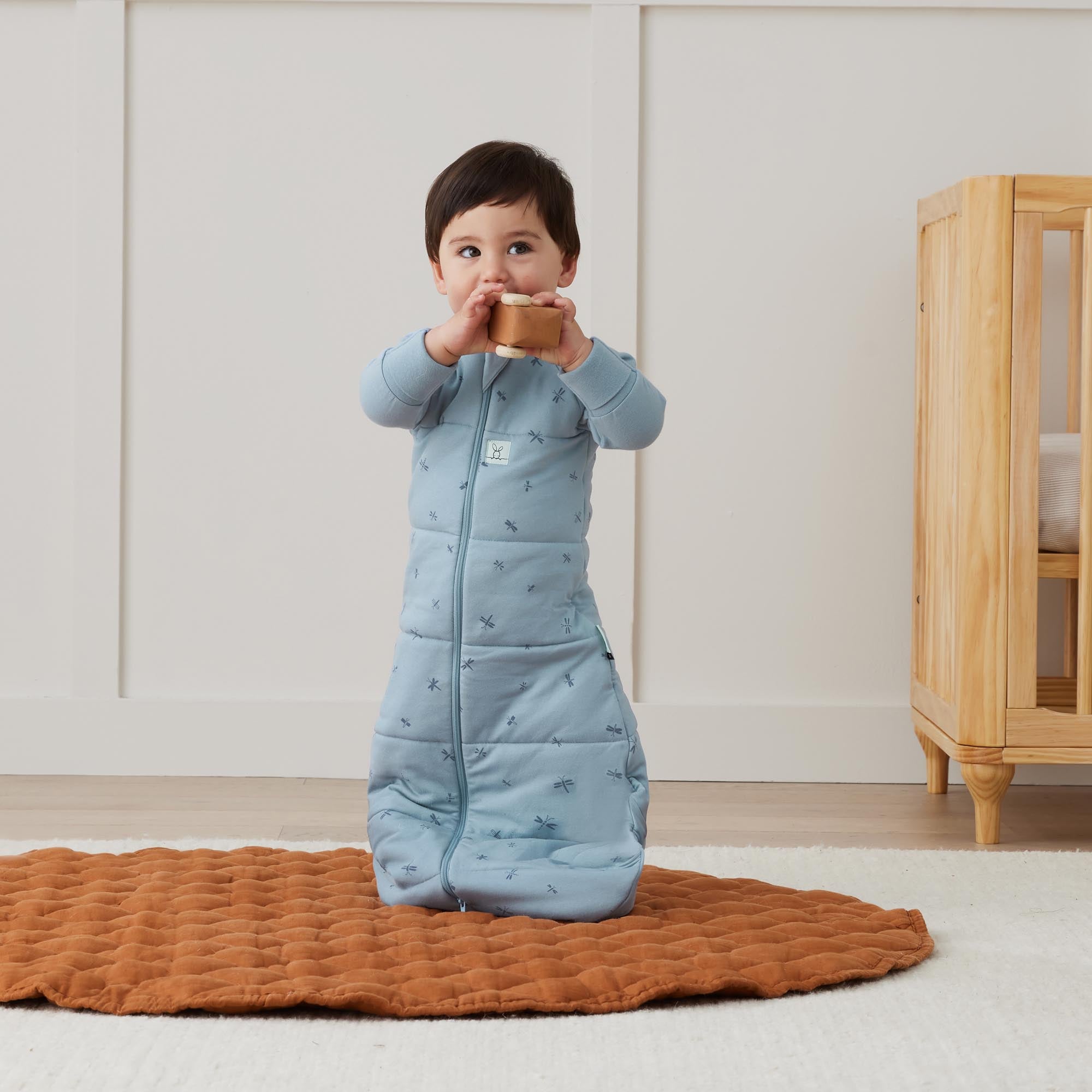 ErgoPouch TOG 2.5 Long Sleeve Baby Sleeping Bag with Dragonfly Print - Perfect for Nursery, Daycare & Overnight Sleep