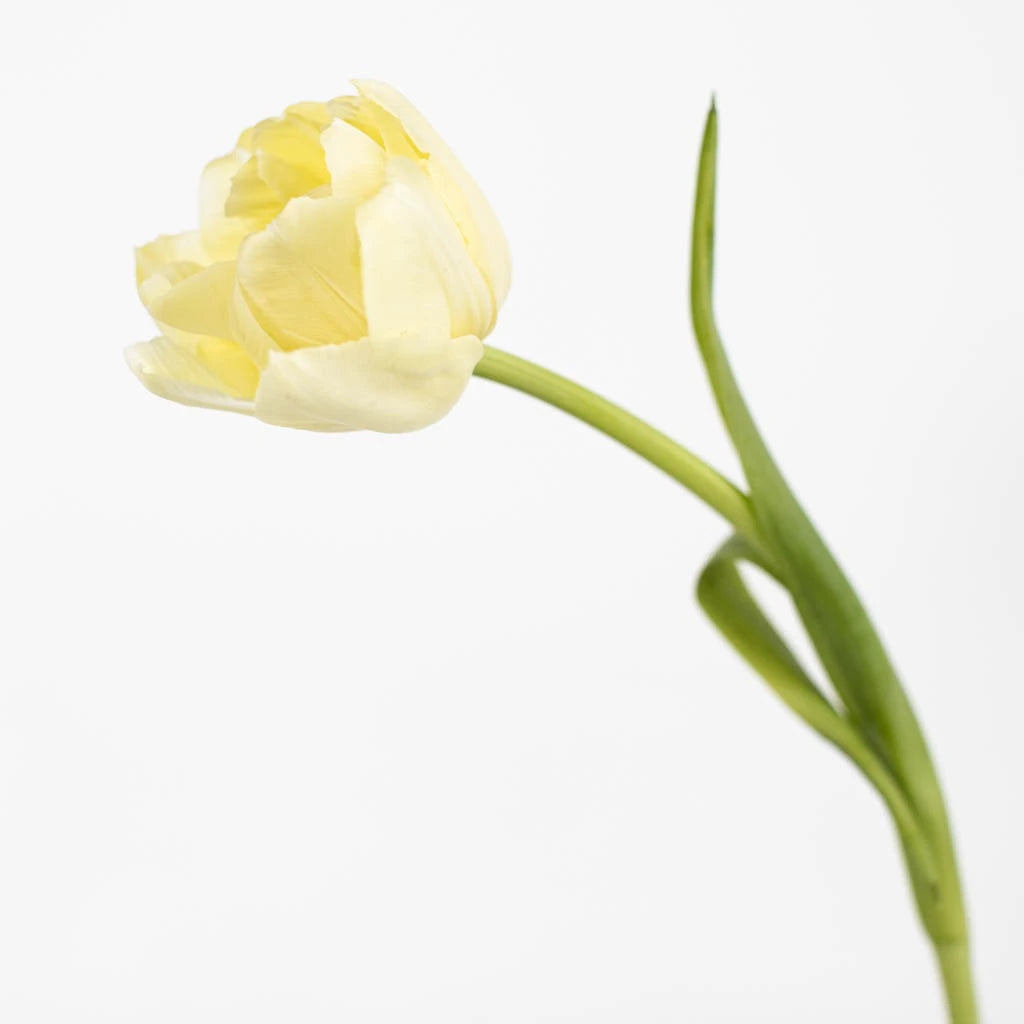 Avant Garde Double Tulips - Premium Artificial Silk Flowers for Home Decor, Wedding Centerpieces, and Floral Arrangements