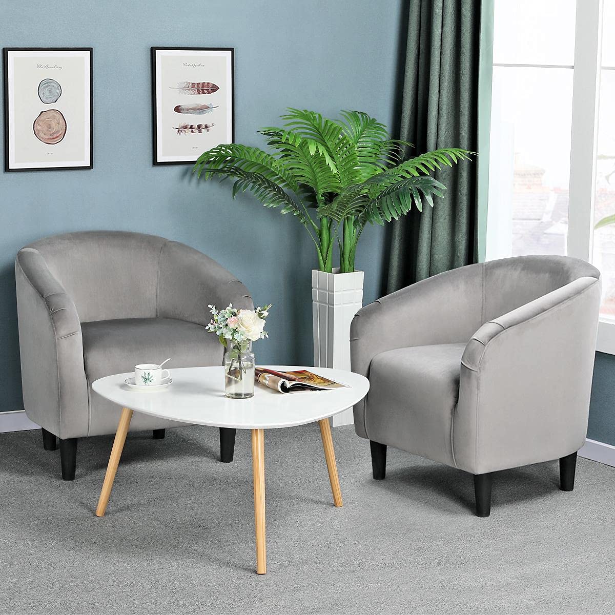 Yaheetech Velvet Accent Chairs Set of 2 - Cozy Barrel Chairs with Soft Padded Seat for Living Room, Bedroom, Office - Light Gray Modern Lounge Chairs for Reading Nook, Waiting Area & Home Decor