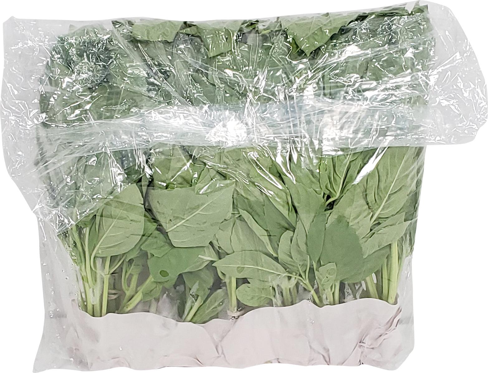 Organic Fresh Basil Green - Premium Culinary Herb for Cooking, Pasta, Salads & Garnishing | Perfect for Italian Dishes, Homemade Pesto & Healthy Recipes